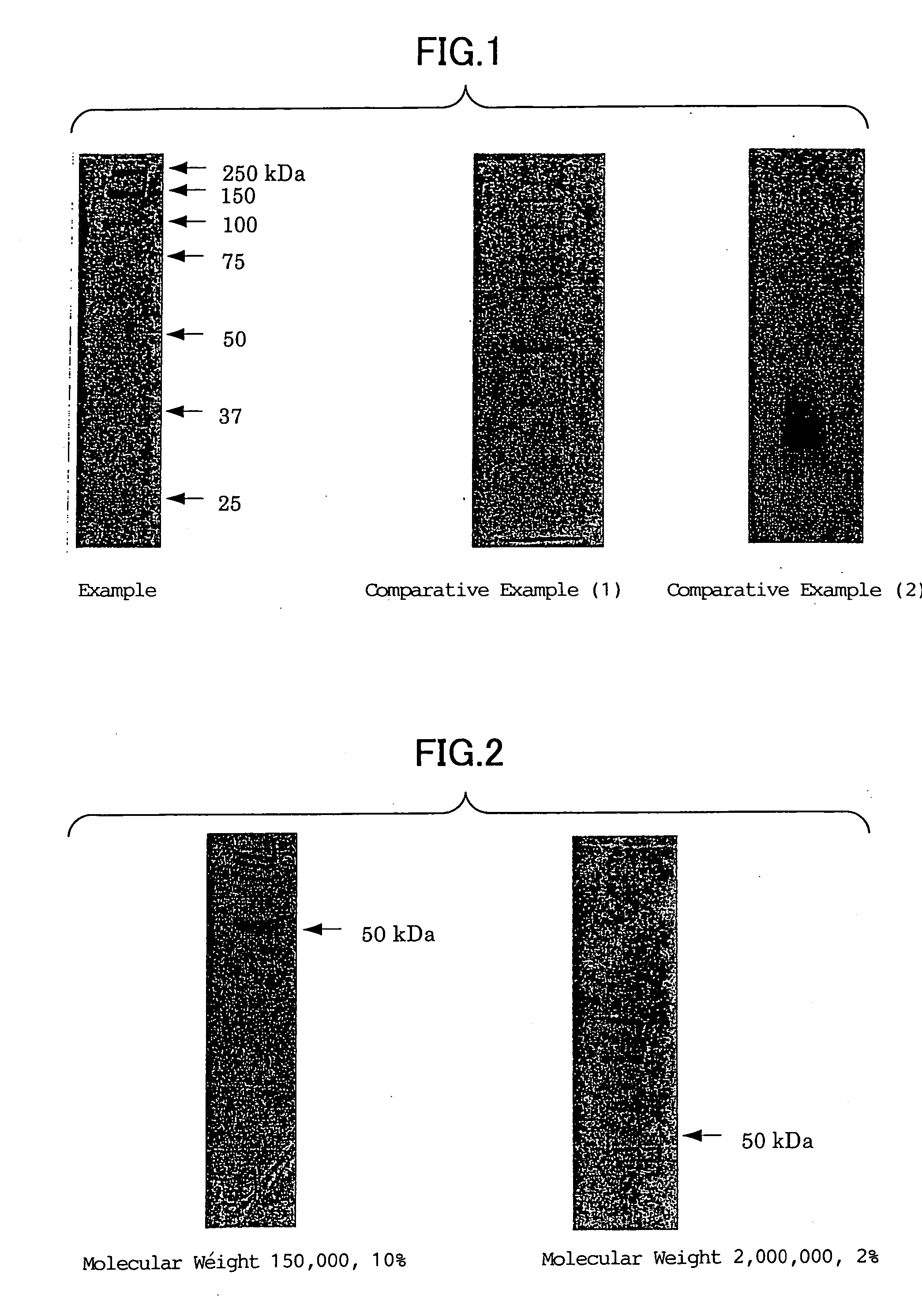 Gel for electrophoresis and method for preparing the same
