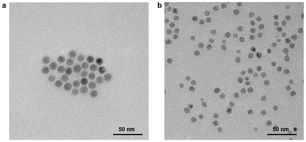 Preparation method, product and application of inorganic nanoparticle/supramolecular nano targeting compound