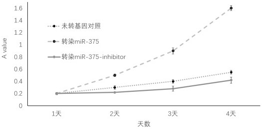 Use of a modified umbilical cord stem cell in the preparation of anti-aging pharmaceutical composition or health care product
