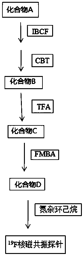 &lt;19&gt;F nuclear magnetic resonance probe, preparation method and applications thereof