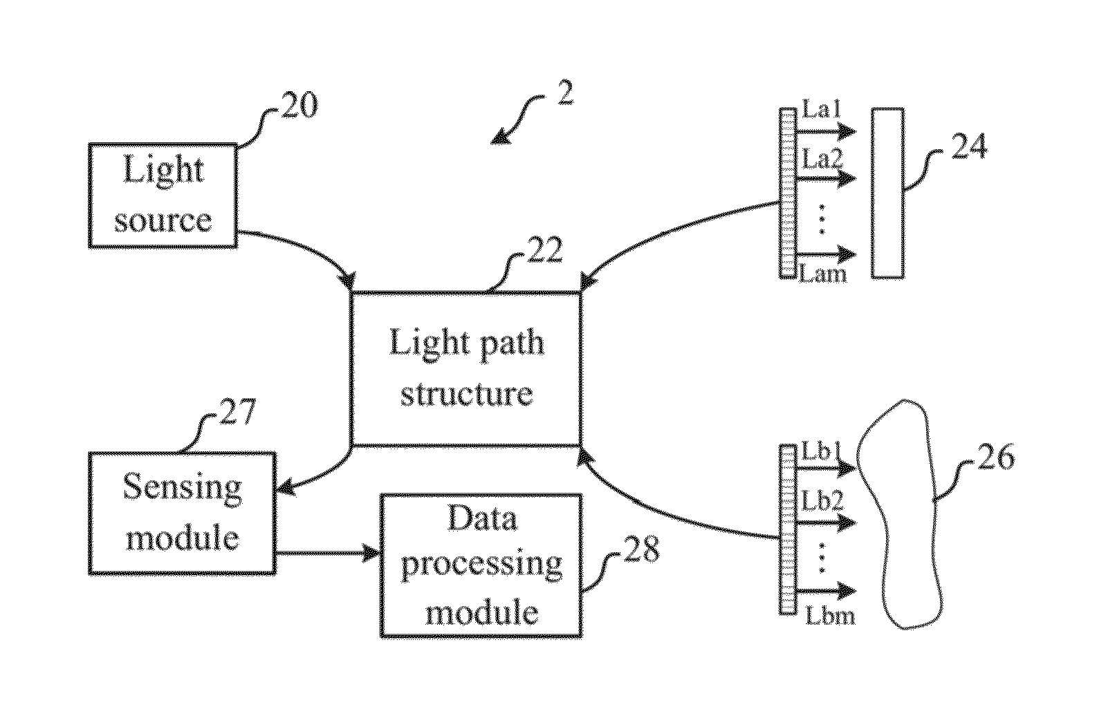 Large area optical diagnosis apparatus and operating method thereof