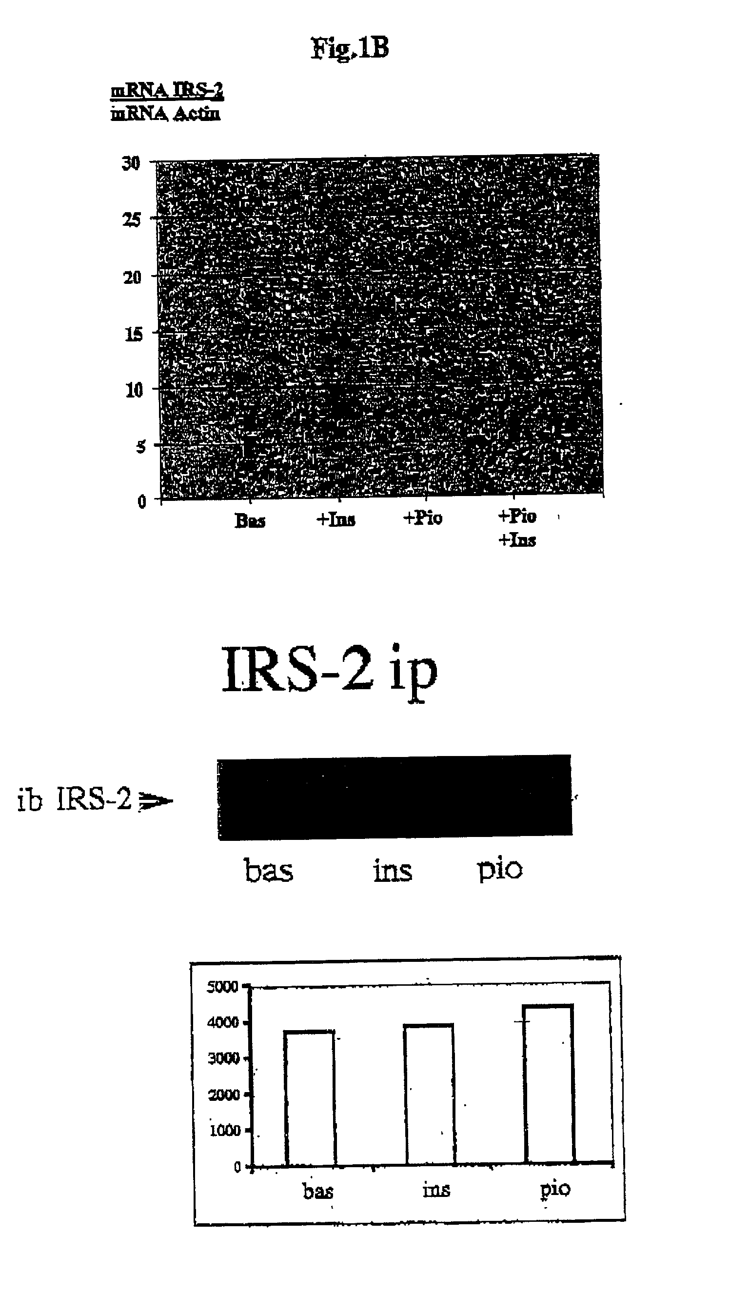 Novel sequences and their use