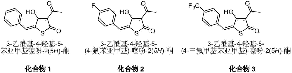 Application of 3-acetyl thiotetronic acid derivatives in bactericide for controlling phytopathogen