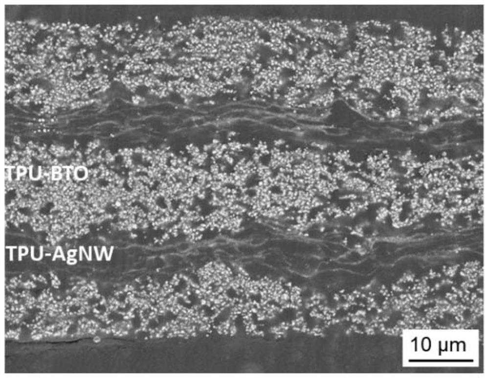 High dielectric elastic composite material and its preparation method and application in flexible sensing