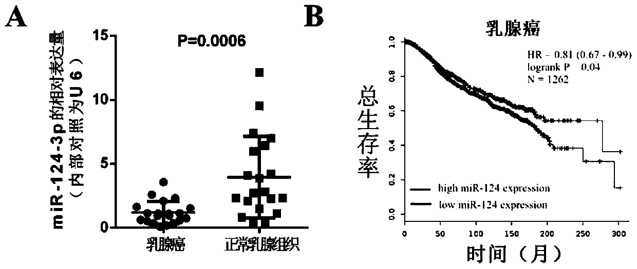 Application of miR-124-3p and analogues thereof in preparation of anti-breast cancer disease drugs
