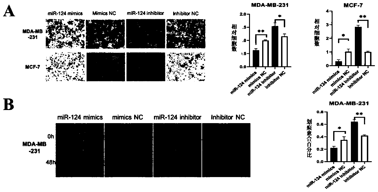 Application of miR-124-3p and analogues thereof in preparation of anti-breast cancer disease drugs