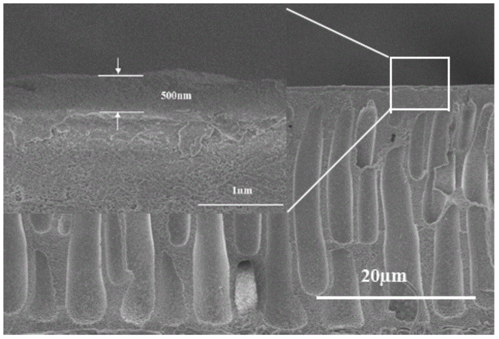 Solvent-resistant composite nanofiltration membrane and preparing method
