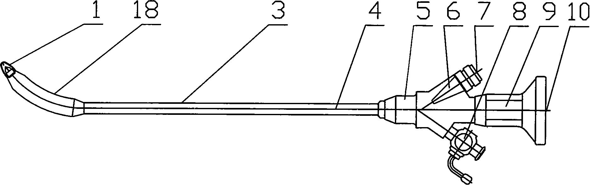 Diameter variable male urethra dilator with endoscope
