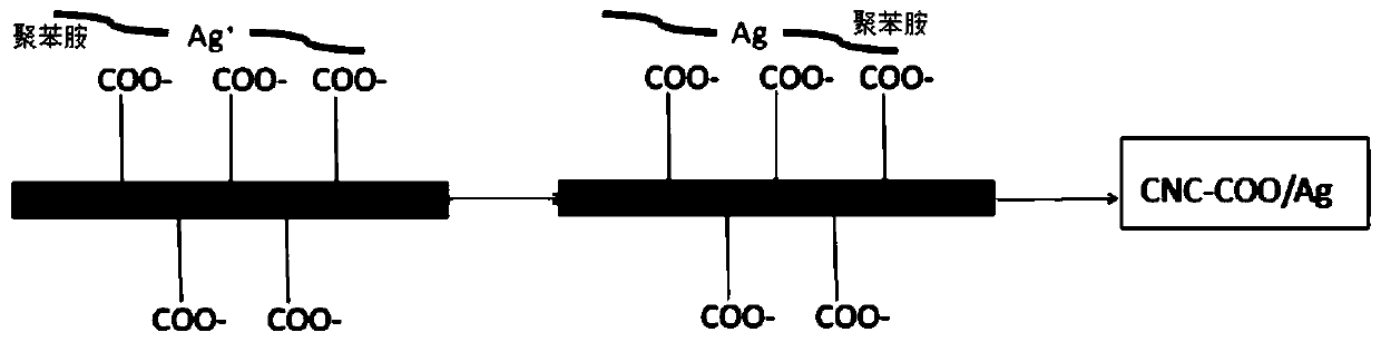 Preparation method of polyaniline coated silver-loaded nano microcrystalline cellulose-based conductive ink