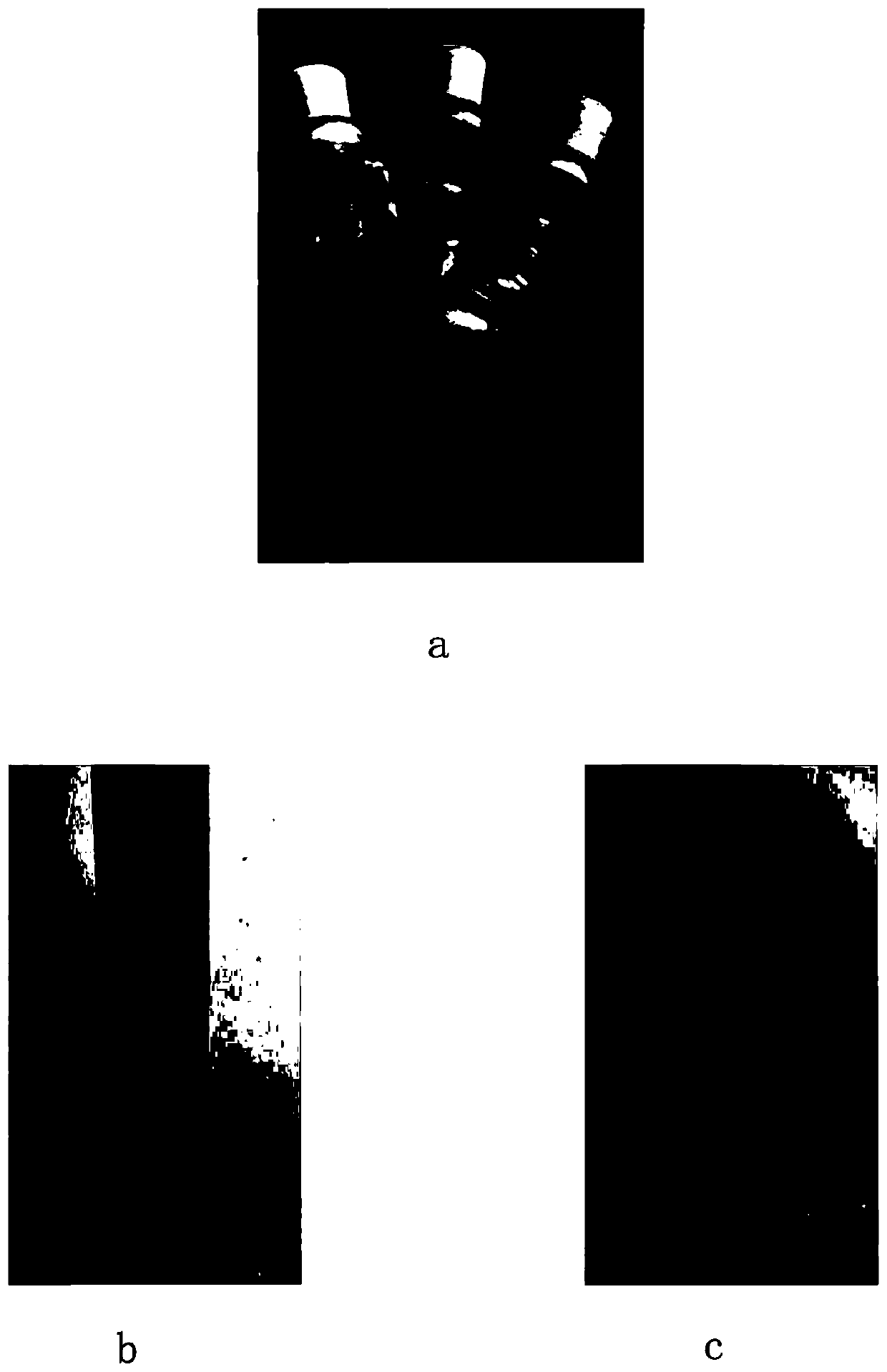 Preparation method of polyaniline coated silver-loaded nano microcrystalline cellulose-based conductive ink