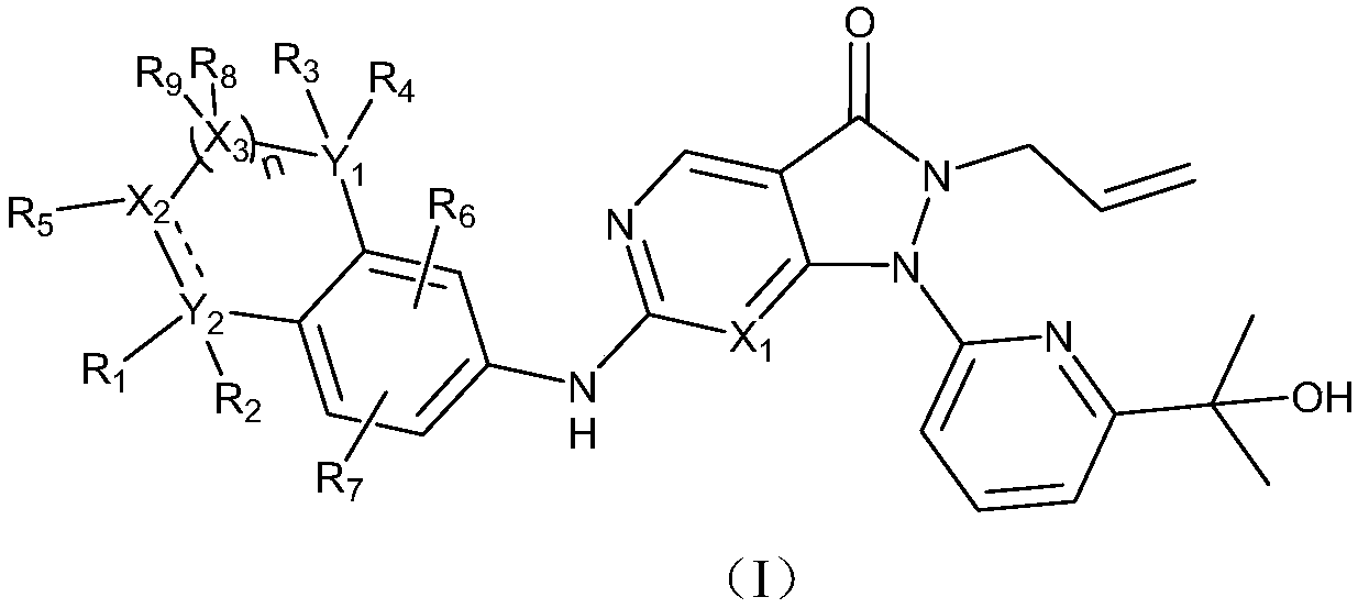 Dihydroisoindole-1H-pyrazolo[3,4-d]pyrimidone compound, and preparation method and application thereof