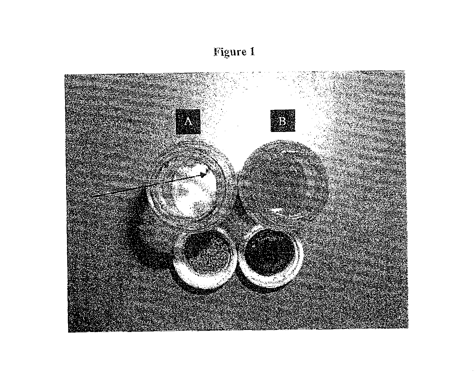 Topical formulations of tellurium-containing compounds