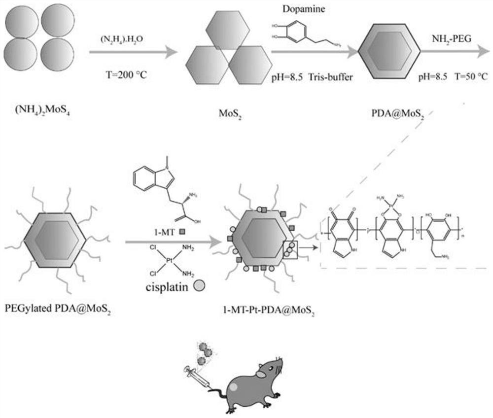Polydopamine-coated drug-loaded molybdenum disulfide nanosheet and preparation and application thereof