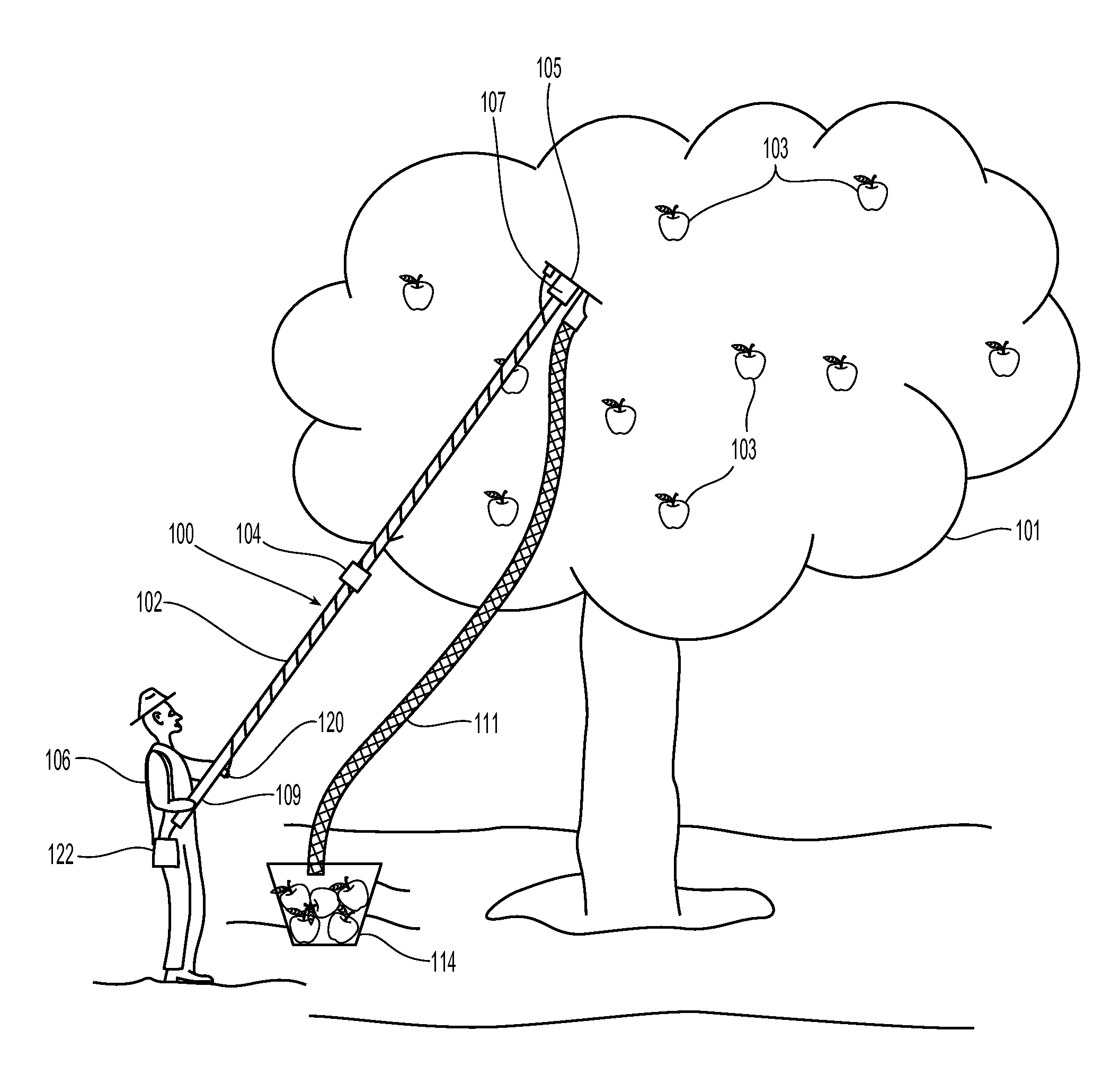 Apple and Fruit Harvester