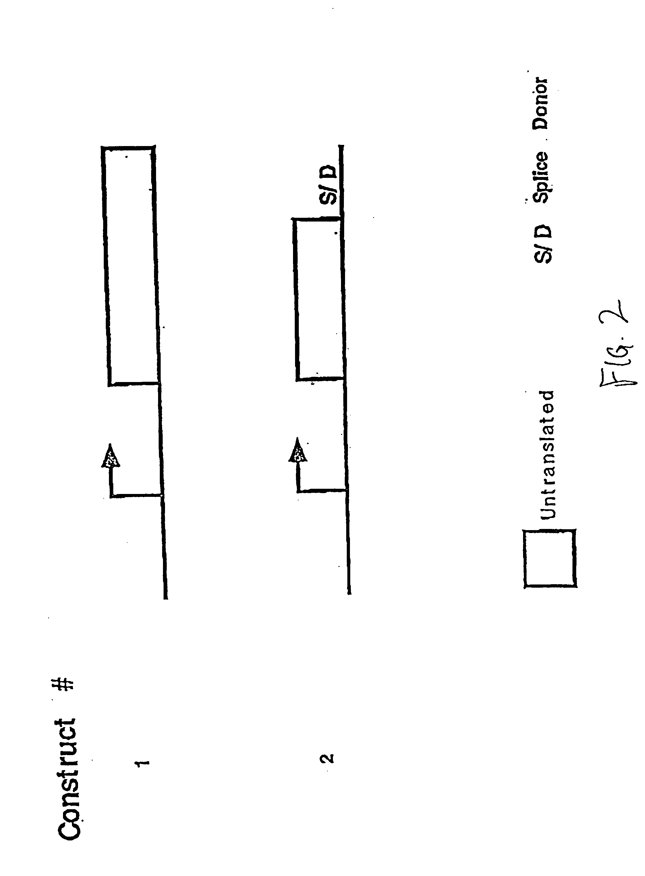Compositions and methods for non-targeted activation of endogenous genes