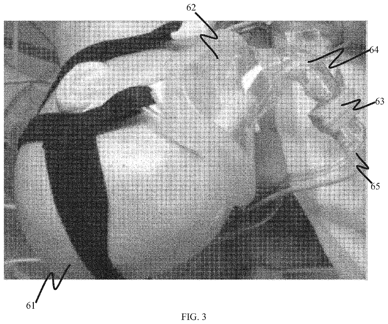System and method for determining carbon dioxide excreted during non-invasive ventilation