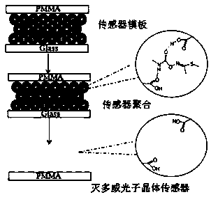 Photonic crystal sensor and method for rapidly detecting pesticide residues in fruits and vegetables by using sensor