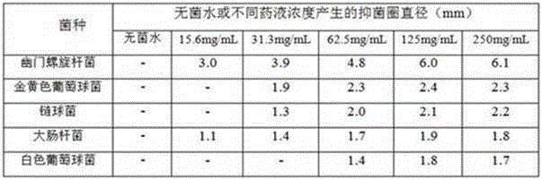 Pharmaceutical composition of yi nationality's medicine detoxifying toothpaste