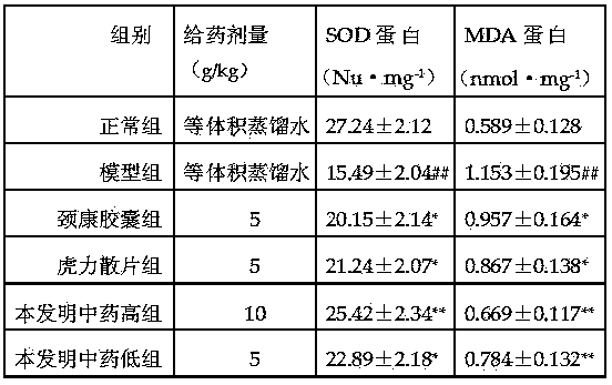 Traditional Chinese medicine composition for treating rheumatism bone diseases