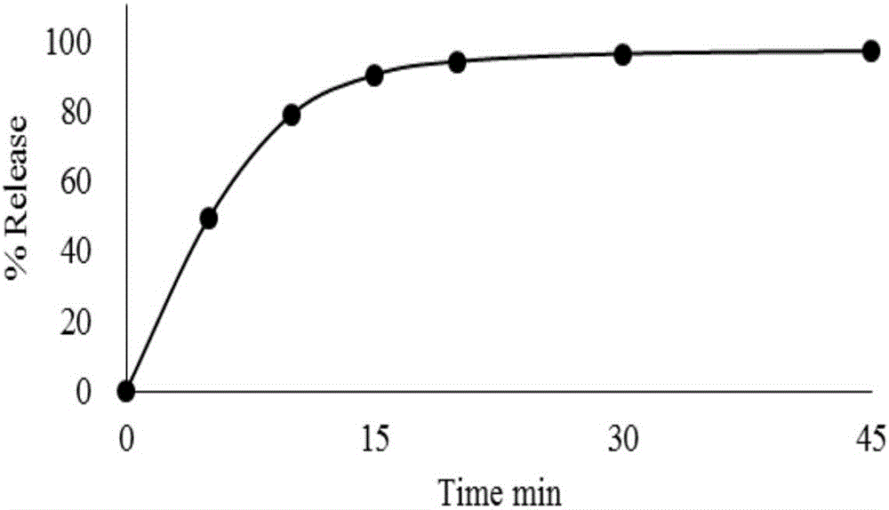 Mycophenolate mofetil capsule and preparation method thereof