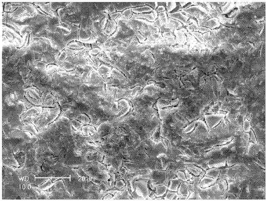 Preparation method of titanium surface porous structure layer bioactive ceramic membrane with low elasticity modulus