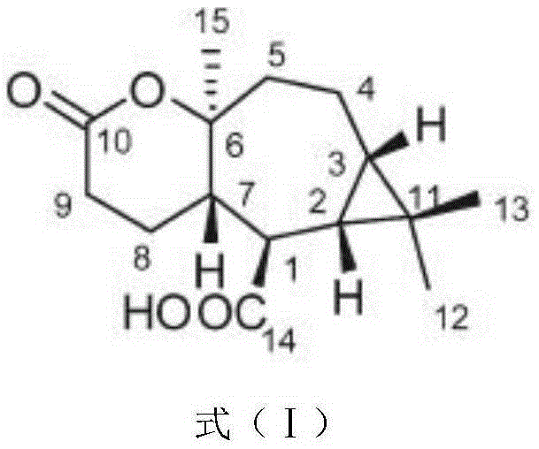 Application of Volvalerelactones A to preparation of drug for treating atherosclerosis