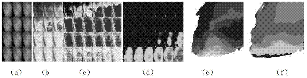 Method and device for measuring or monitoring tissue or cell transmembrane potential changes