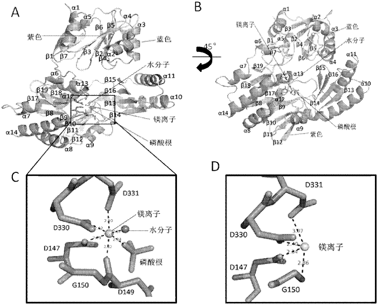 Expression and purification of mycobacterium tuberculosis trehalose-6-phosphate phosphatase otsb2 and the three-dimensional crystal structure of its complex with phosphate