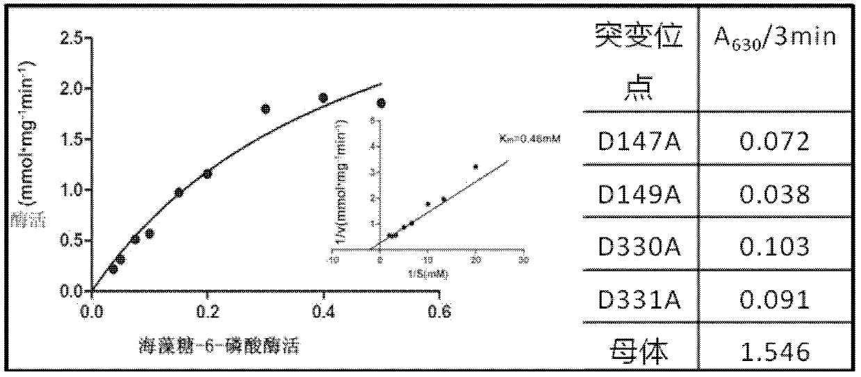 Expression and purification of mycobacterium tuberculosis trehalose-6-phosphate phosphatase otsb2 and the three-dimensional crystal structure of its complex with phosphate