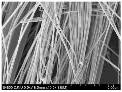 A core-shell heterostructure magnetic fiber and its preparation and application method