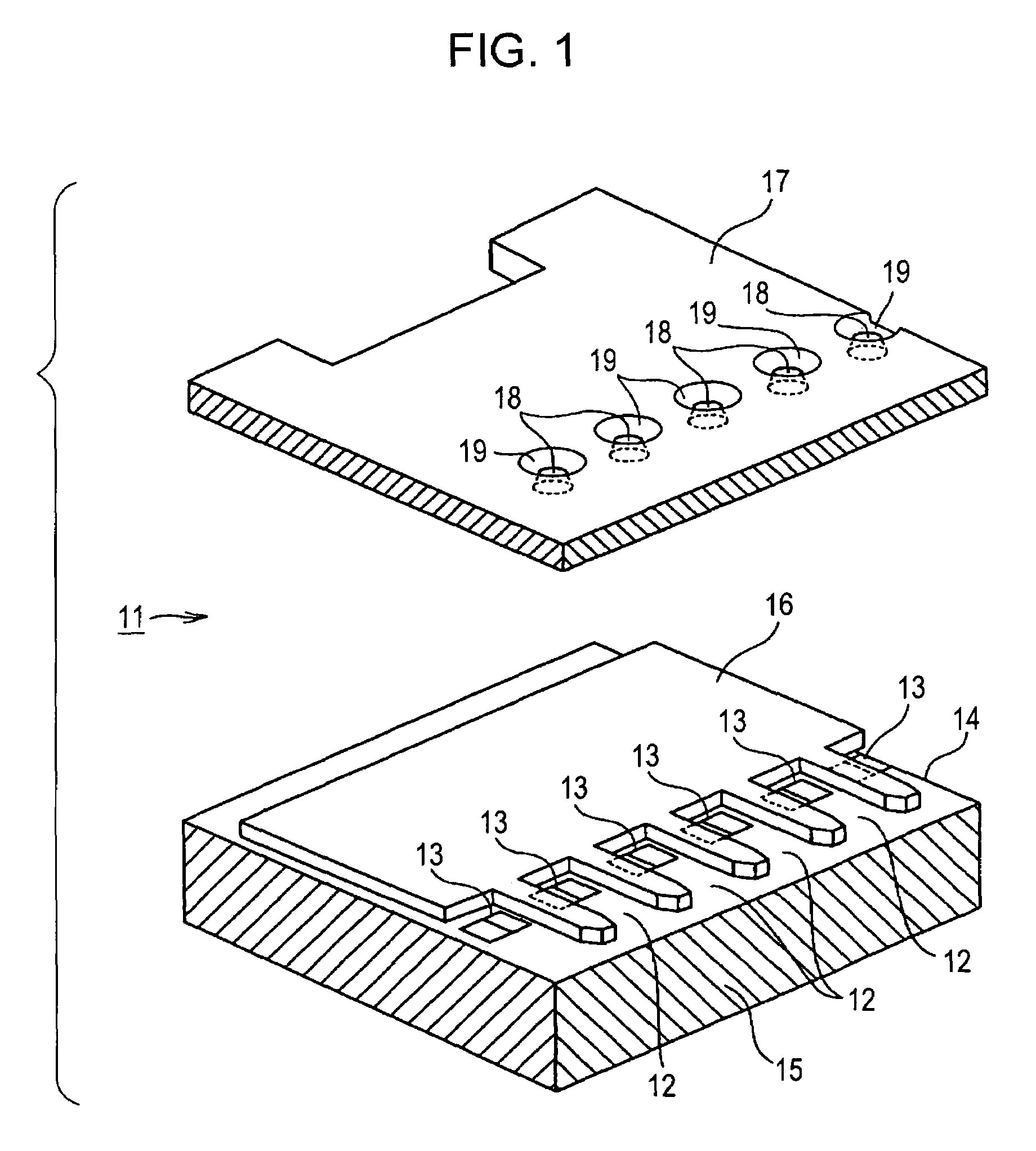 Liquid ejection head, liquid ejection apparatus, and method for fabricating liquid ejection head