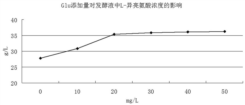 A kind of production and extraction process of l-isoleucine