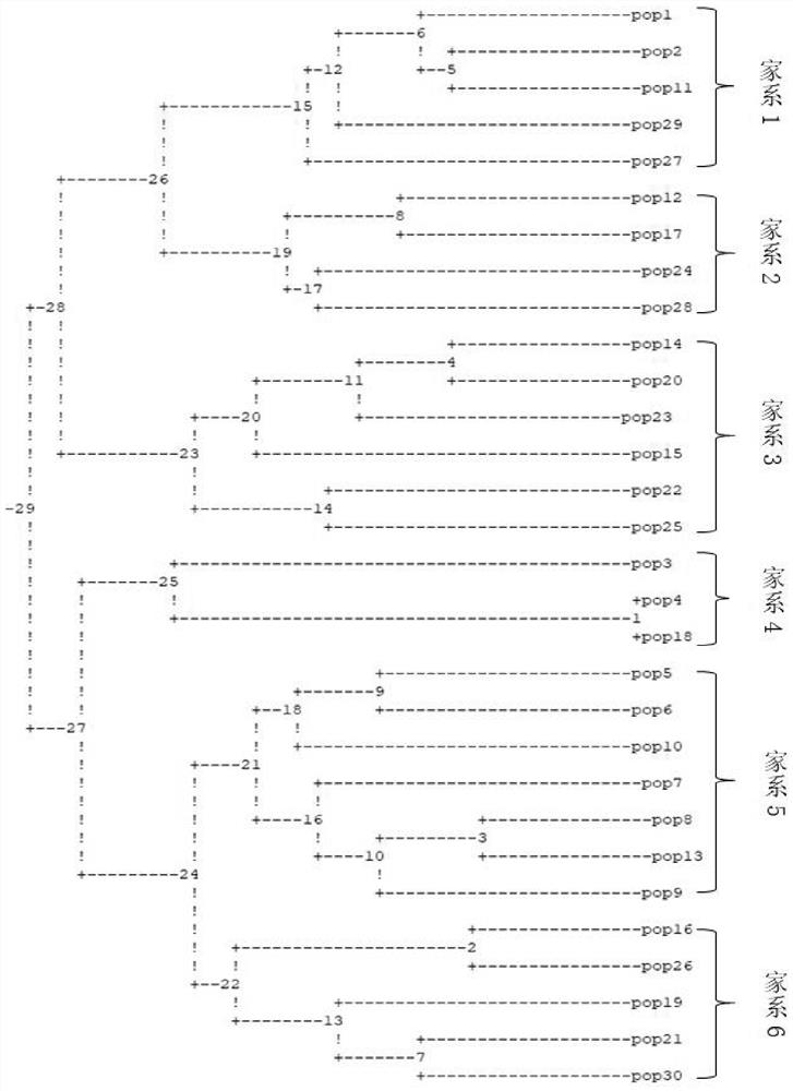 A method and application of microsatellite identification and division of Hu sheep family