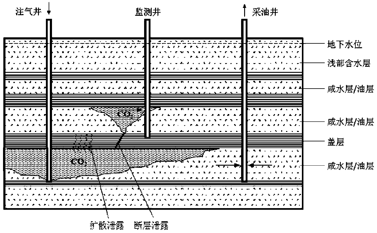 Device and method for monitoring leakage of carbon dioxide geological storage cap layer