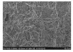 Cupronickel B30 having super-hydrophobic surface and preparation method thereof