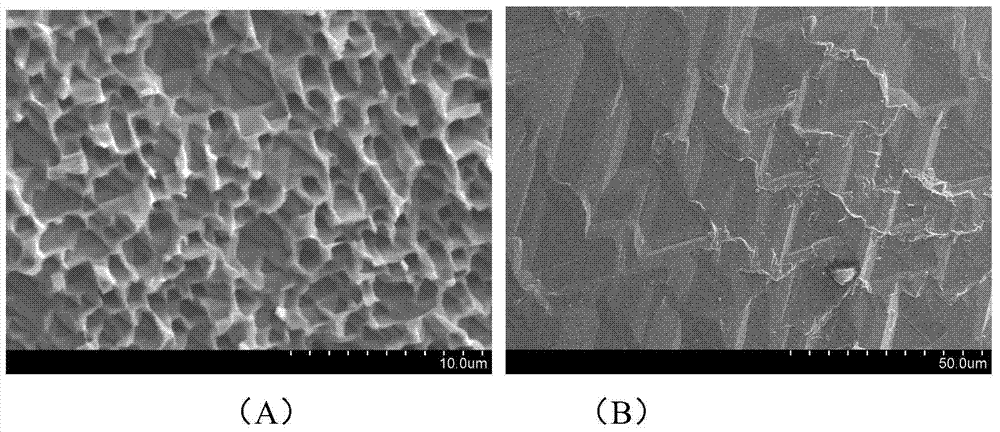 Diamond wire-cut polysilicon wafer with one-side texturing and texturing method thereof