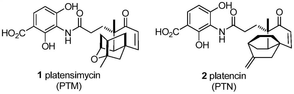 Palymycin analogue and its preparation method and application
