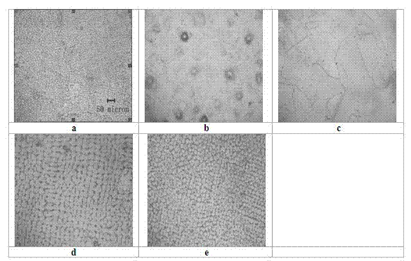 Lead-antimony rare-earth positive grid alloy and preparation method thereof