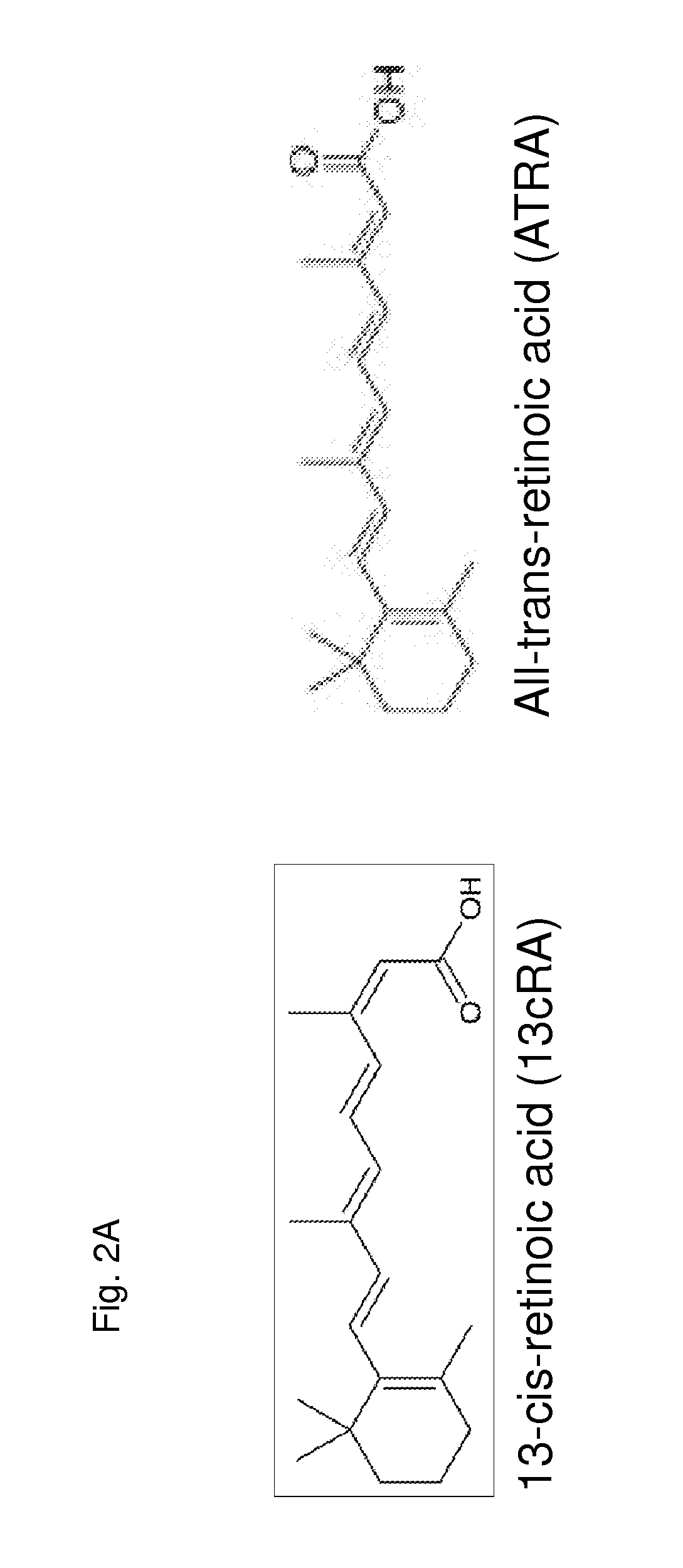 Methods and compositions for the treatment of proliferative disorders