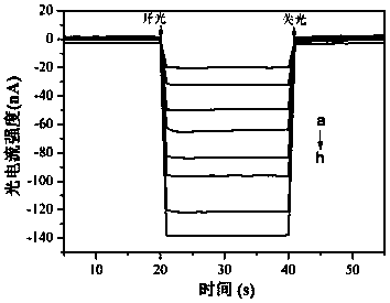 Preparation method and application of photoelectrochemical biosensor based on iridium complex