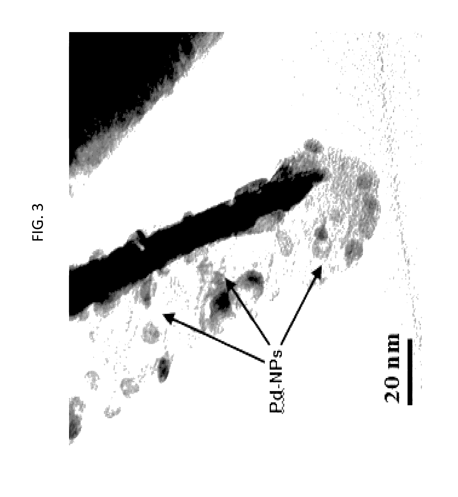 Method for disinfecting a fluid with a palladium-doped tungsten trioxide photo-catalyst