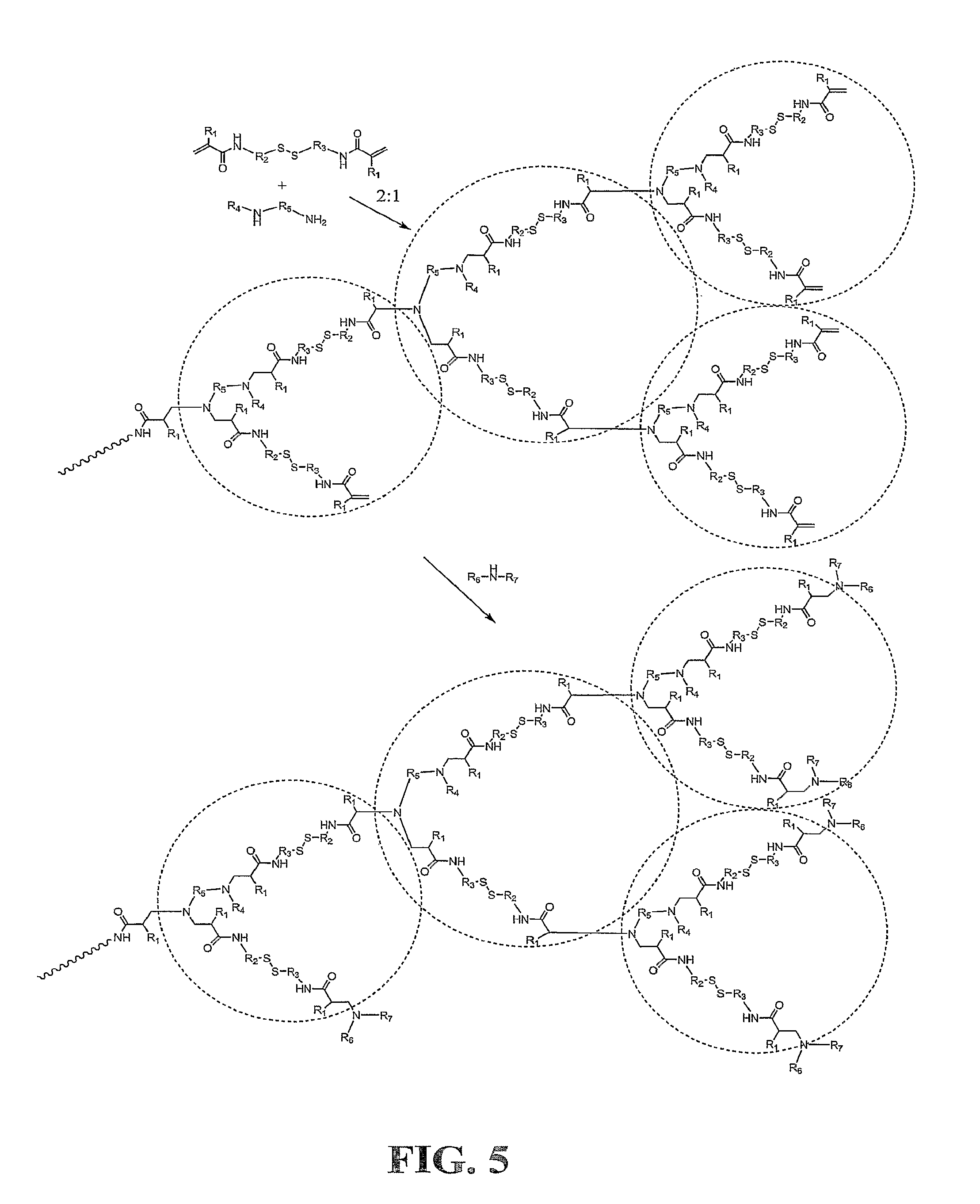 Crosslinking branched molecule through thiol-disulfide exchange to form hydrogel