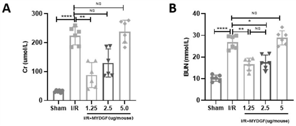 Application of recombinant human myeloid-derived growth factor in treatment of renal ischemia-reperfusion injury