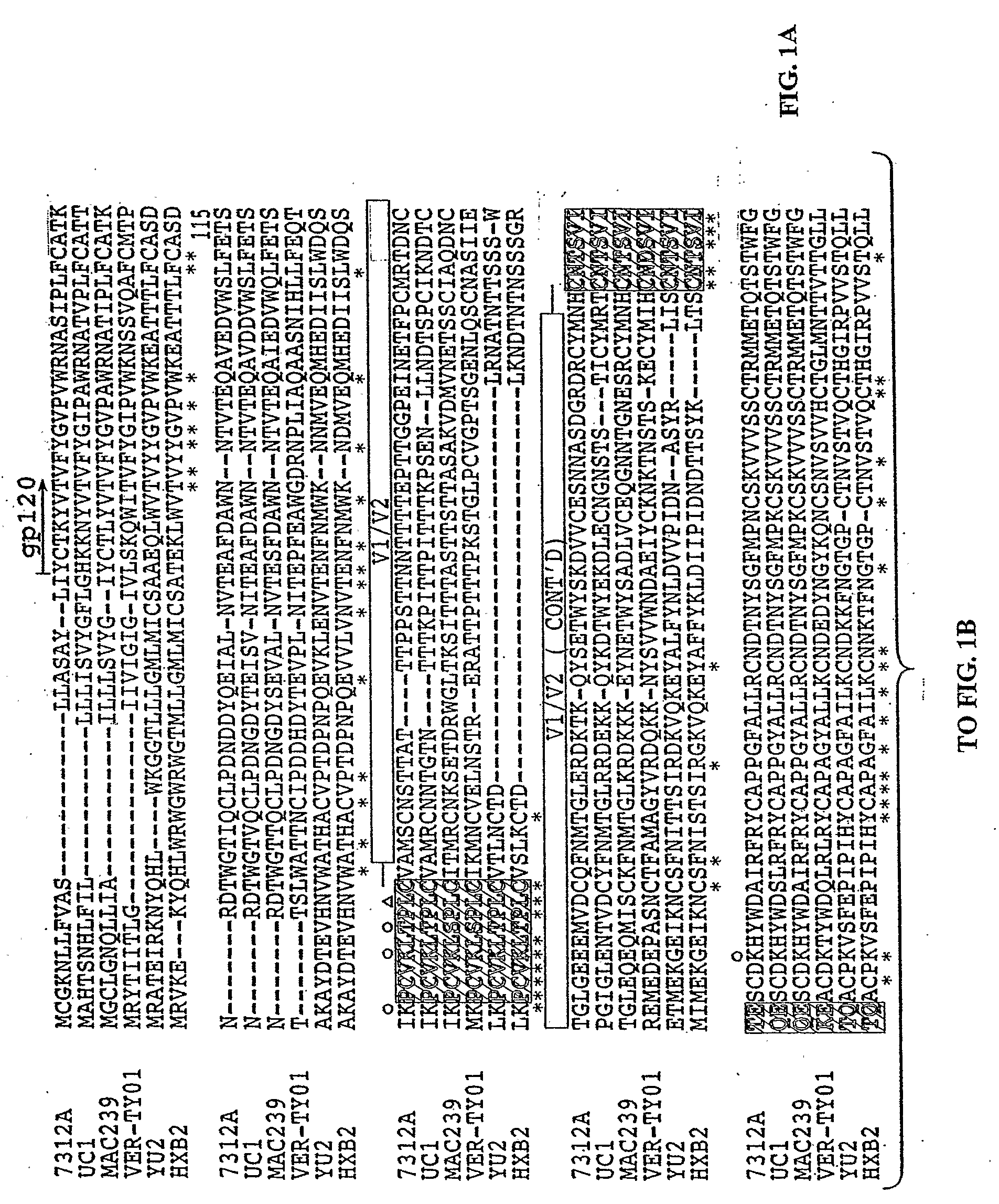 Molecular Scaffolds for HIV-1 Immunogens