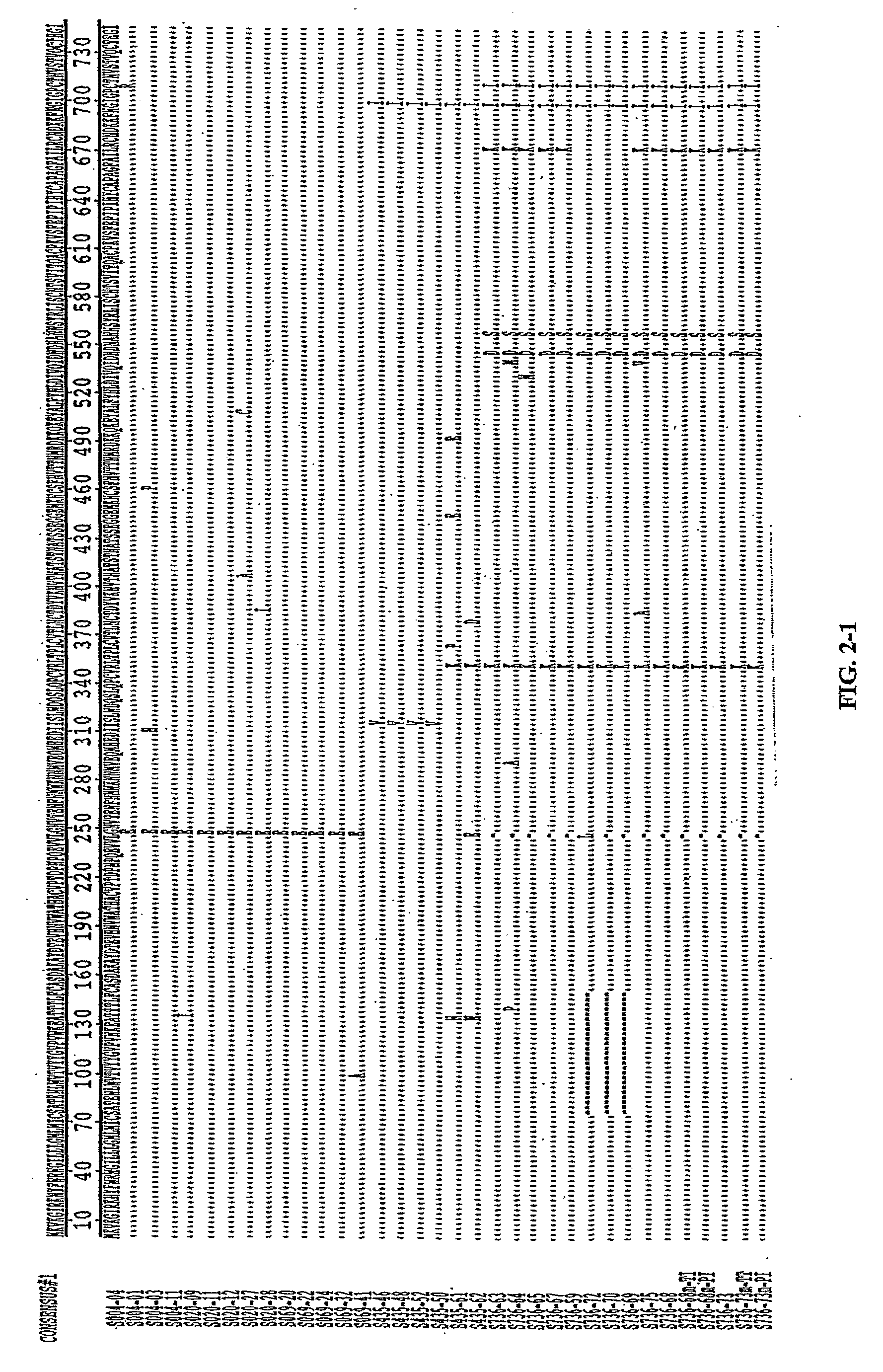 Molecular Scaffolds for HIV-1 Immunogens