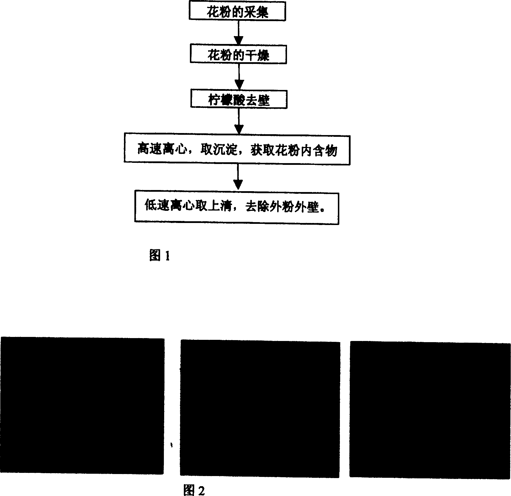 Method for extracting protoplast from pear flower powder by citric acid