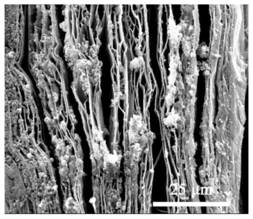 Batched preparation method of interlayer in-situ polymerization of graphene/polymer foams