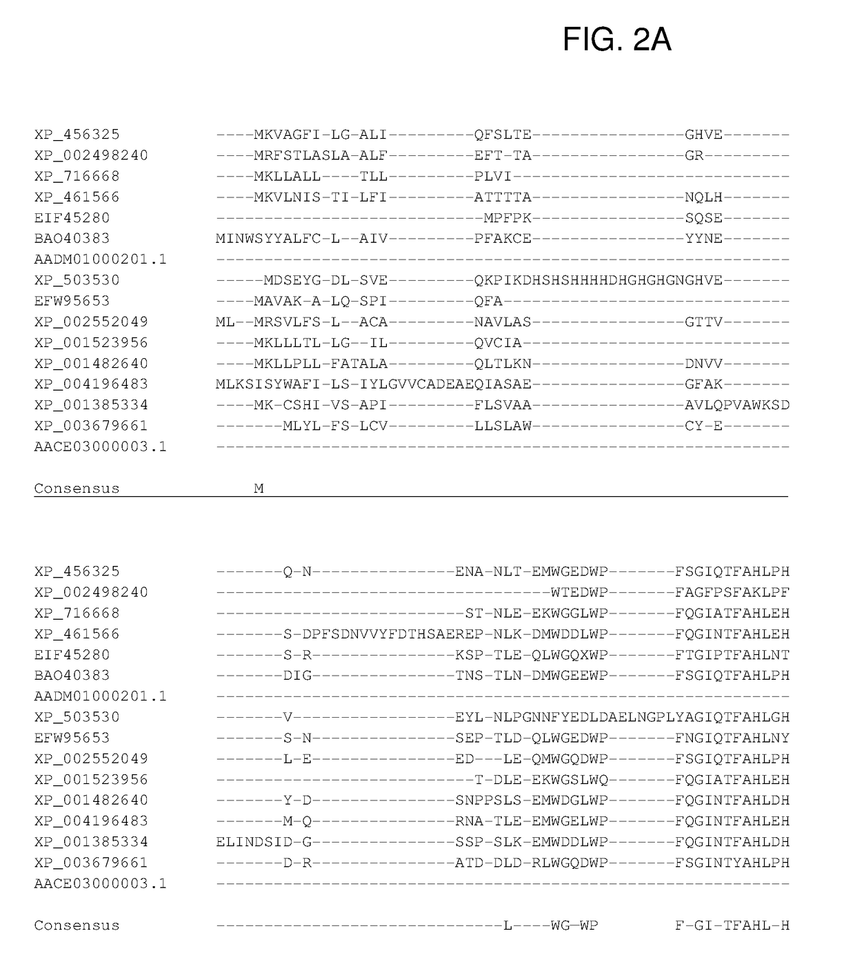 Ureohydrolases as dominant selectable markers in yeast