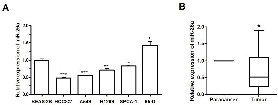 Application of mir-26a in non-small cell lung cancer