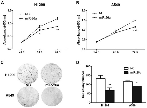 Application of mir-26a in non-small cell lung cancer